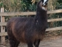 Výlet ZOO Lipsko 